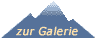 zur Galerie